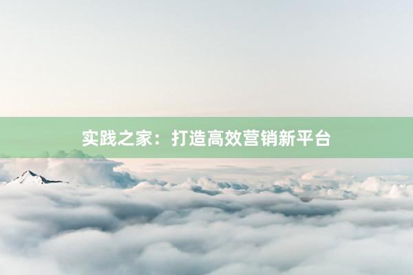 实践之家：打造高效营销新平台