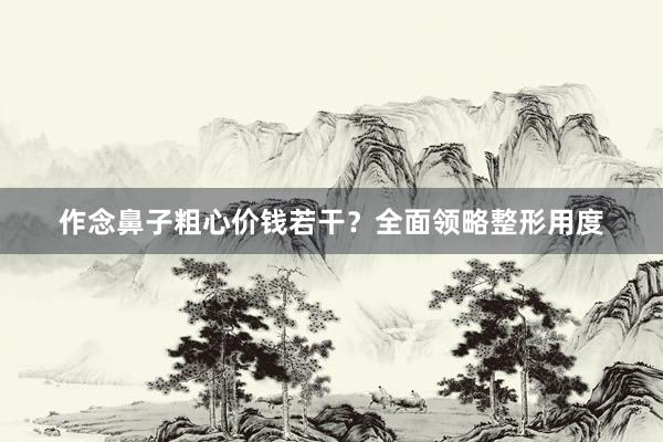 作念鼻子粗心价钱若干？全面领略整形用度