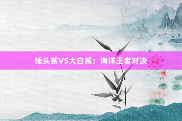 锤头鲨VS大白鲨：海洋王者对决