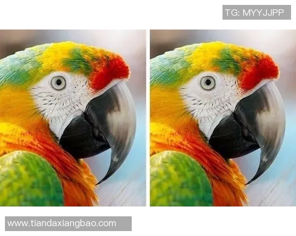 挑战你的眼力与记忆力认出足球明星的精彩视频合集