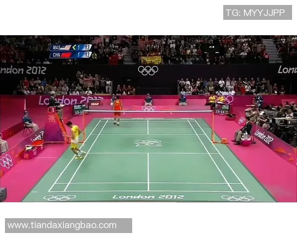 李宗伟与林丹2017年巅峰对决回顾：羽坛传奇的最后一舞